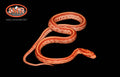 12" male Amel Tessera for sale by South Mountain Reptiles