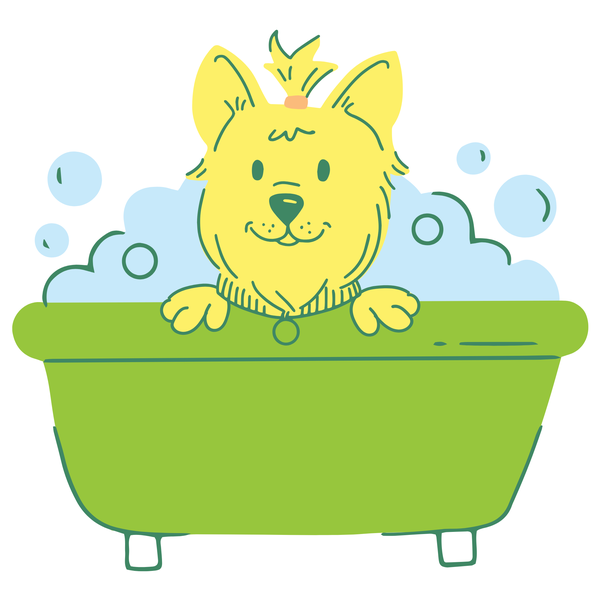 4 Bath Promo