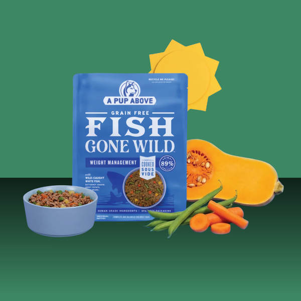 A Pup Above GF Fish Gone Wild 3#