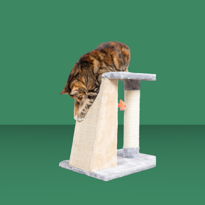 Armarkat 2 Level Platform Scratcher