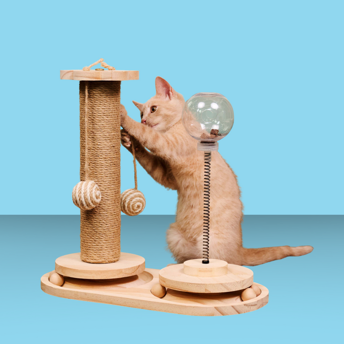 Armarkat Interactive Scratch & Activity Center