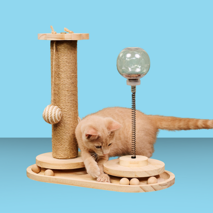 Armarkat Interactive Scratch & Activity Center