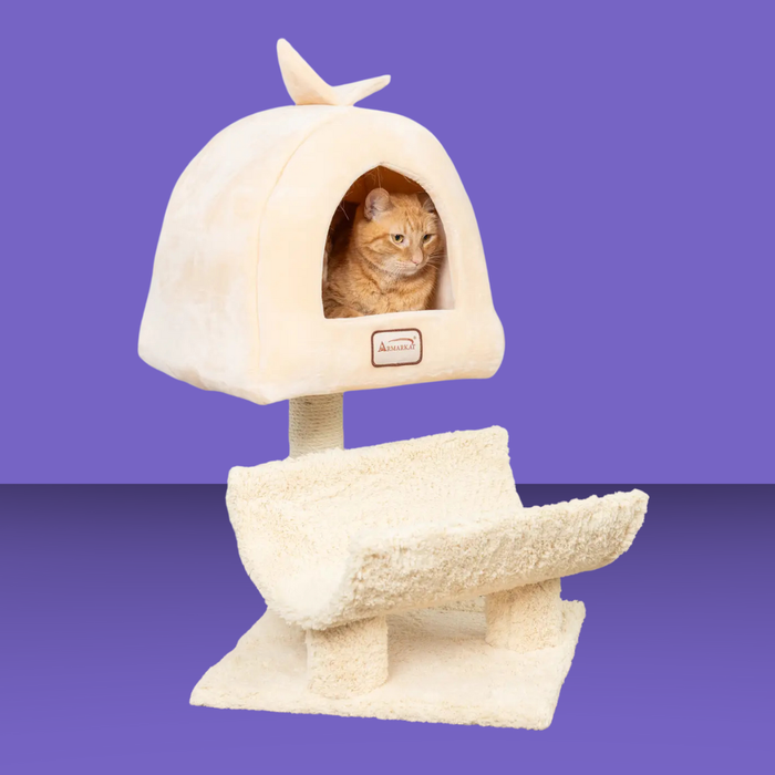 Armarkat Real Wood Cat Condo & Scratching Post