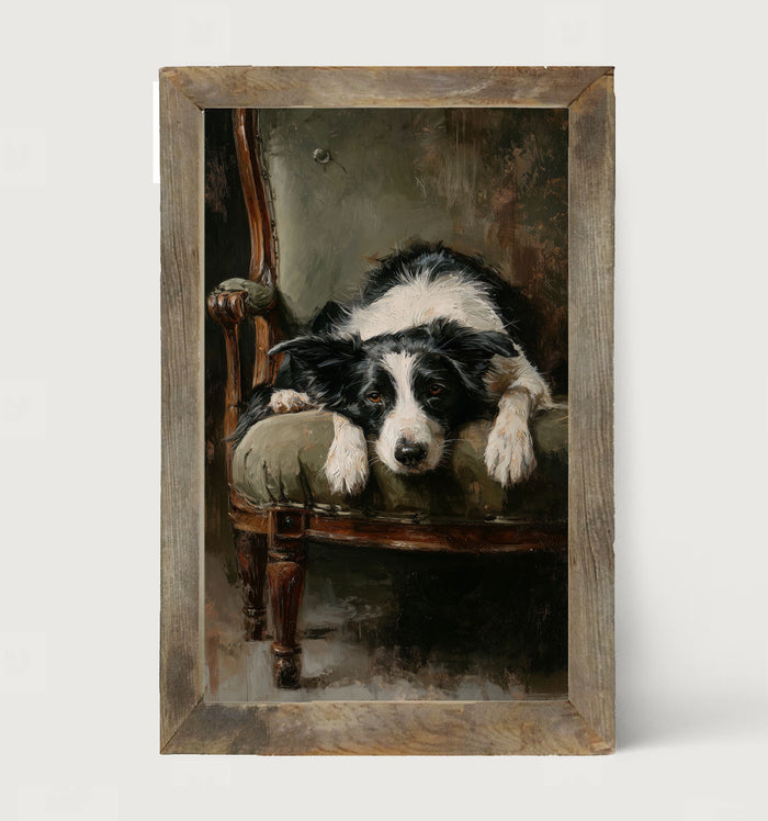 Armchair with Border Collie Dog - Framed Art