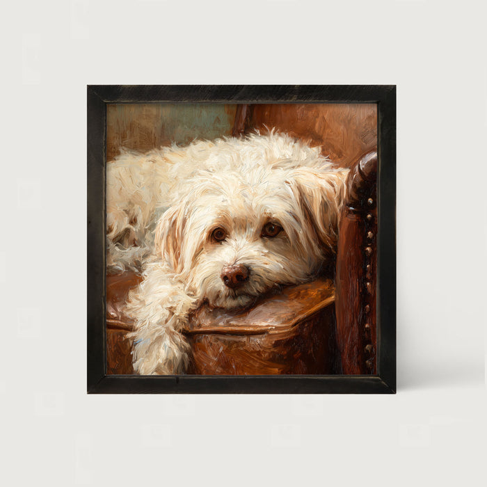 Armchair with Havanese Dog - Framed Art