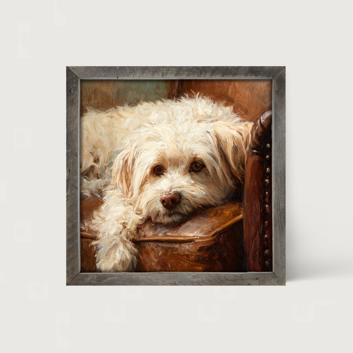 Armchair with Havanese Dog - Framed Art