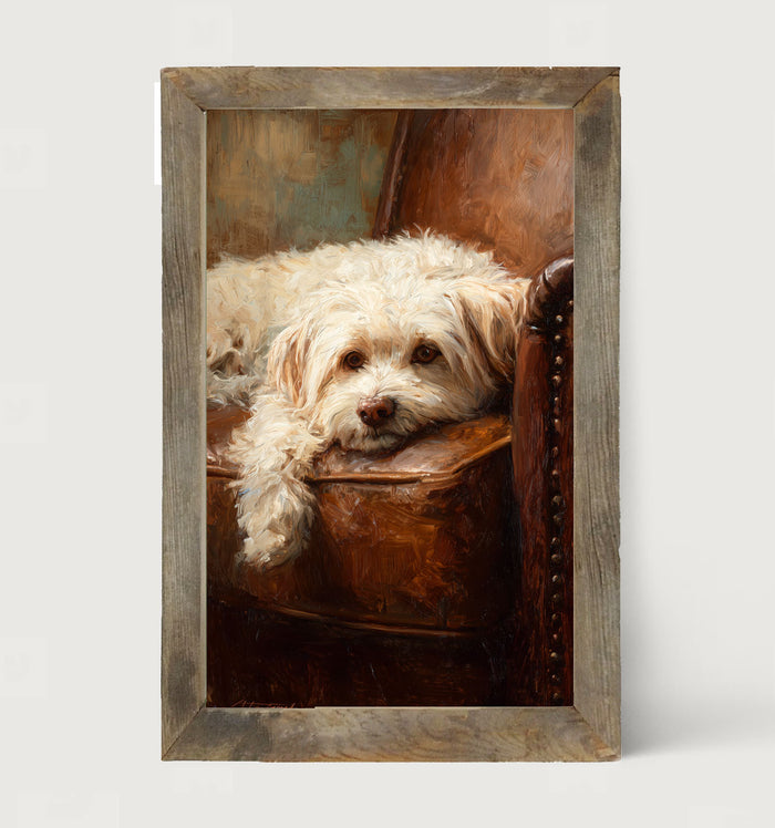 Armchair with Havanese Dog - Framed Art