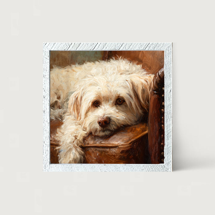 Armchair with Havanese Dog - Framed Art