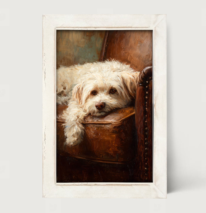 Armchair with Havanese Dog