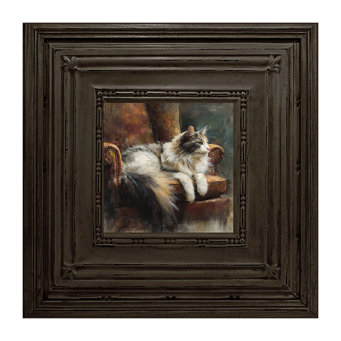 Armchair with Long Haired Cat