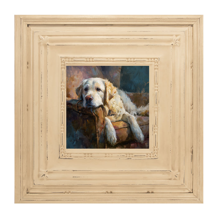 Armchair with Resting Golden Retriever