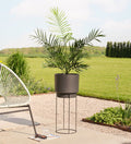 Artificial Areca Palm (UV protected)