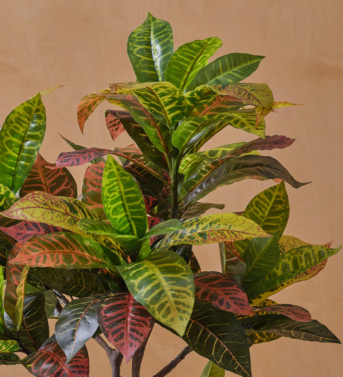 Artificial Croton Tree