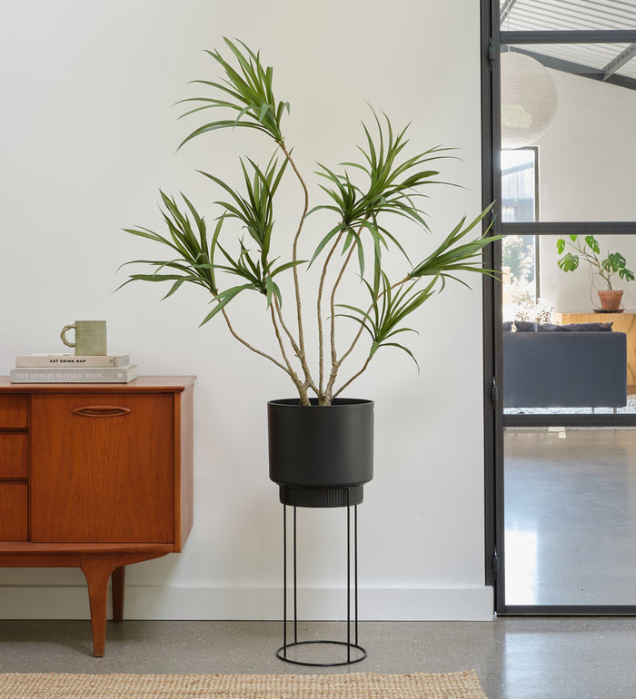 Artificial Dracaena Multi-trunk