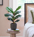 Artificial Fiddle-leaf Fig Tree