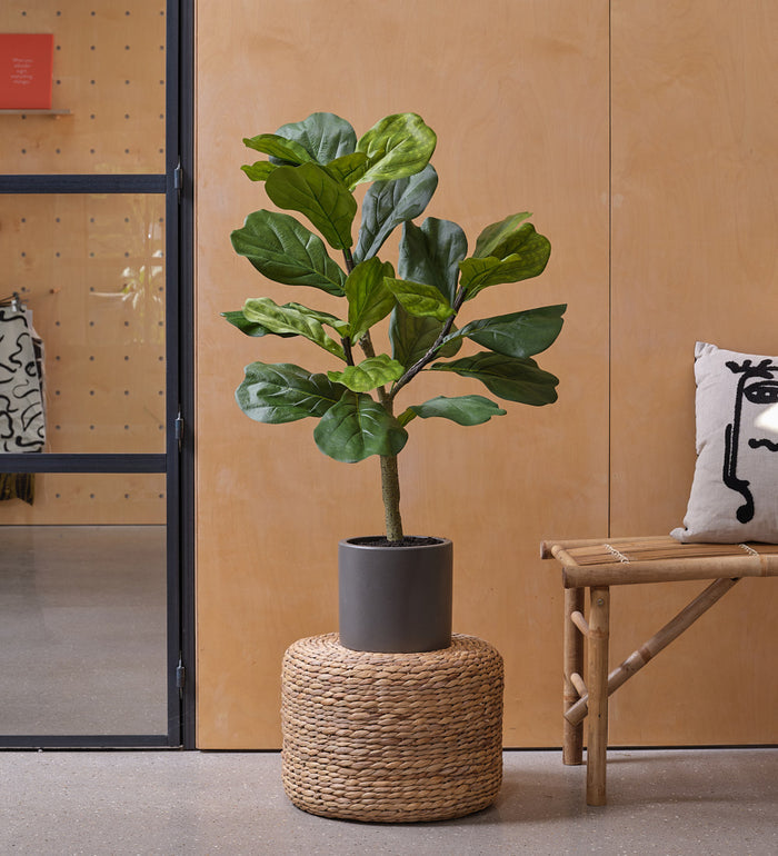 Artificial Fiddle Leaf Fig