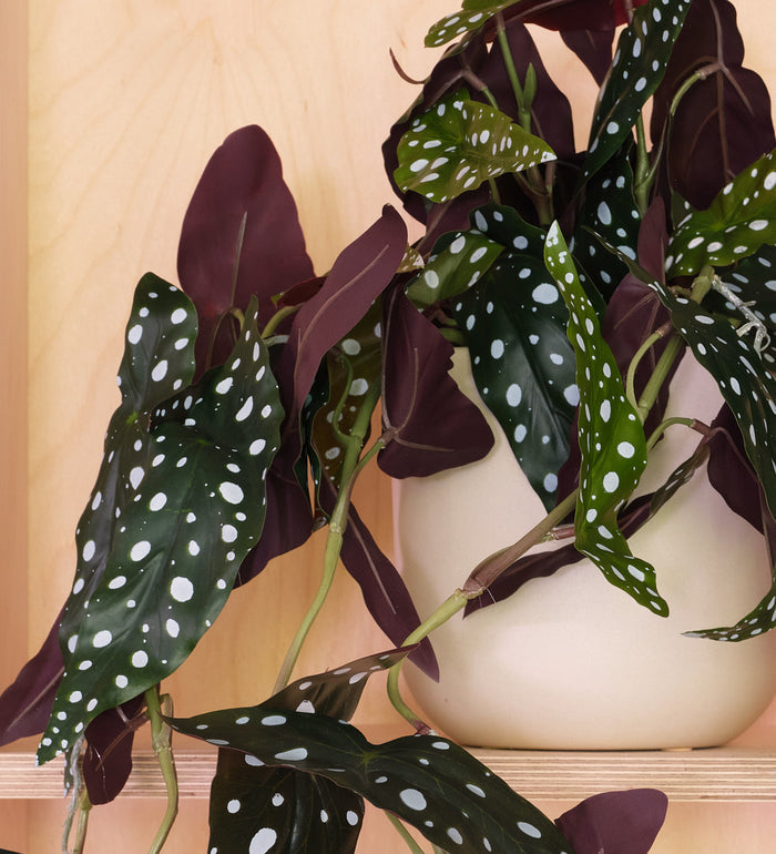 Artificial Hanging Begonia