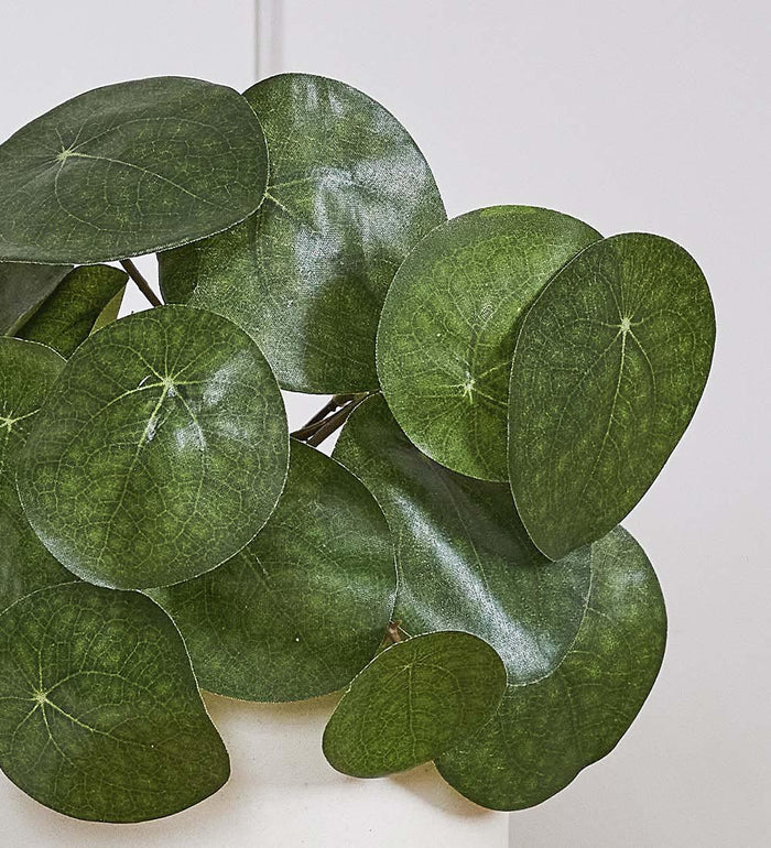 Artificial Money Plant