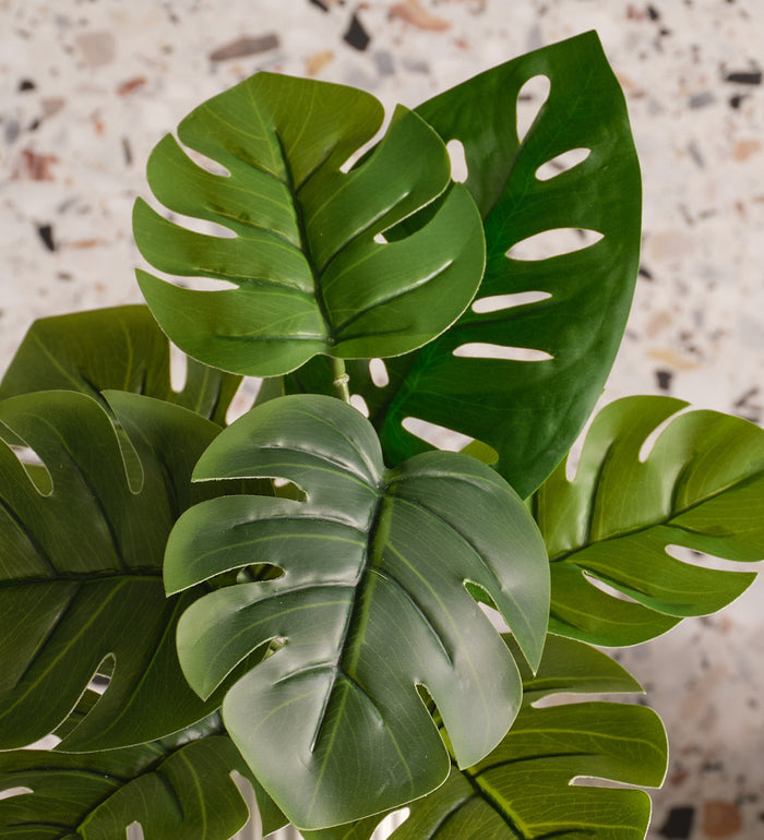 Artificial Monstera Deliciosa