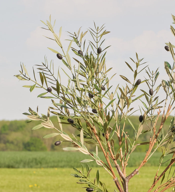 Artificial Olive Tree (UV protected)