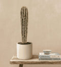 Artificial Pachycereus Cactus
