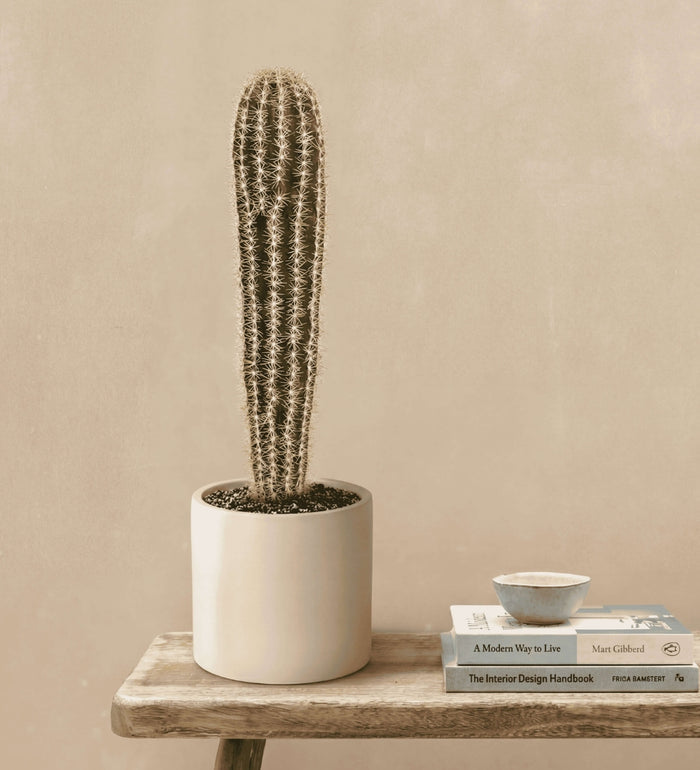 Artificial Pachycereus Cactus