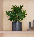 Artificial Philodendron