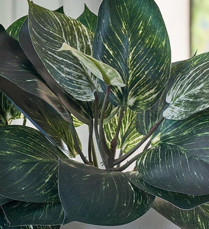 Artificial Pothos