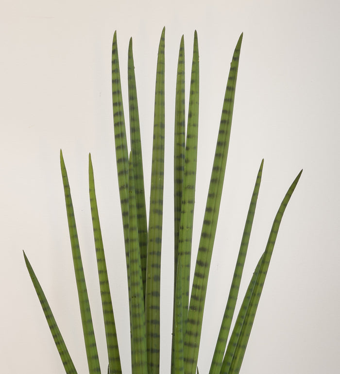 Artificial Sansevieria Cylindrica