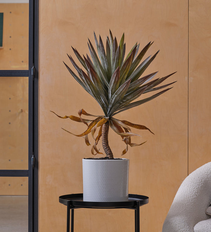 Artificial Yucca Plant