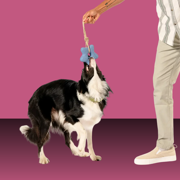 Awoo Comet's Tail Felt Toy
