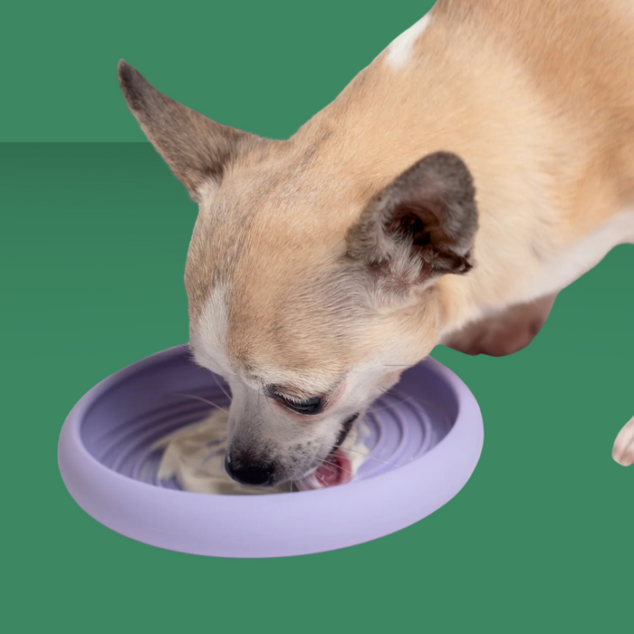 Awoo Lick Dish 6" Periwinkle