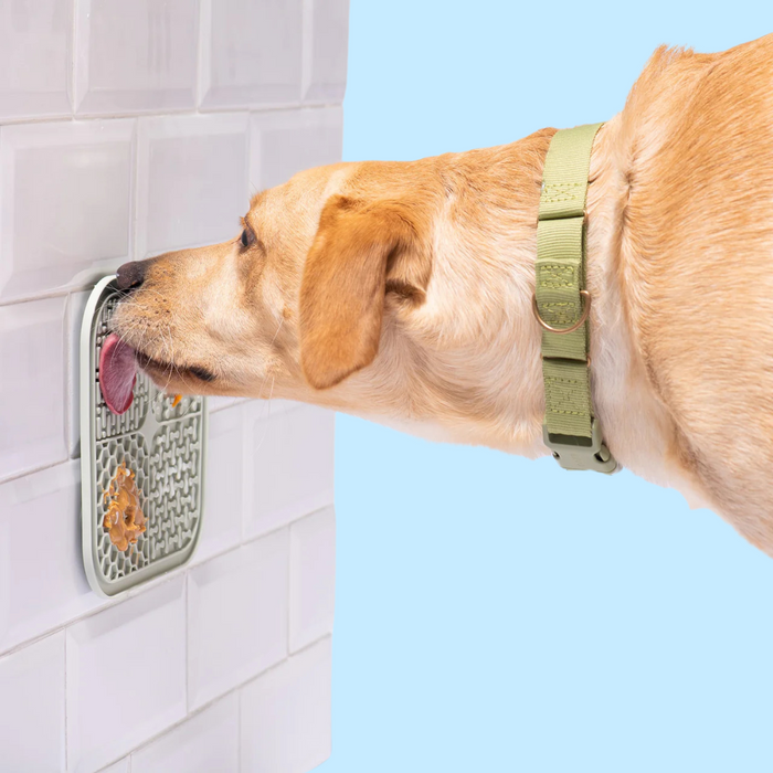 Awoo Smoosh Lick Mat 8x8" Almond