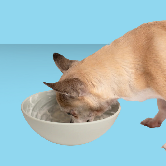 Awoo Wobbowl Lick & Slow Feeder Almond