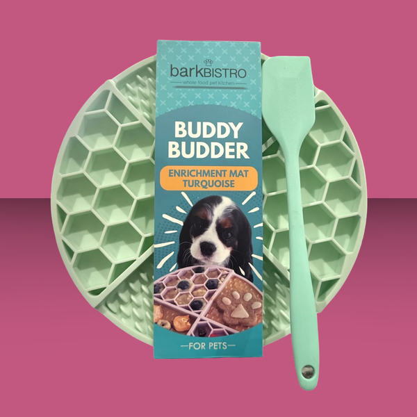 Bark Bistro Lick Mat with Spatula Turquoise