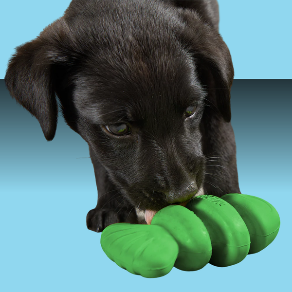 BARK Drop the Bass