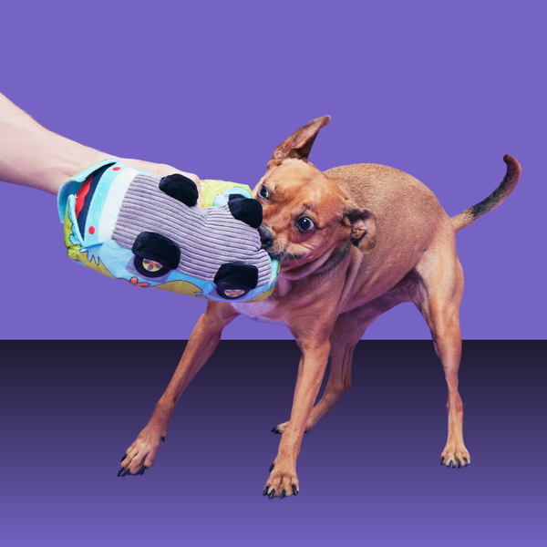 Bark Halloween Mystery Machine XL