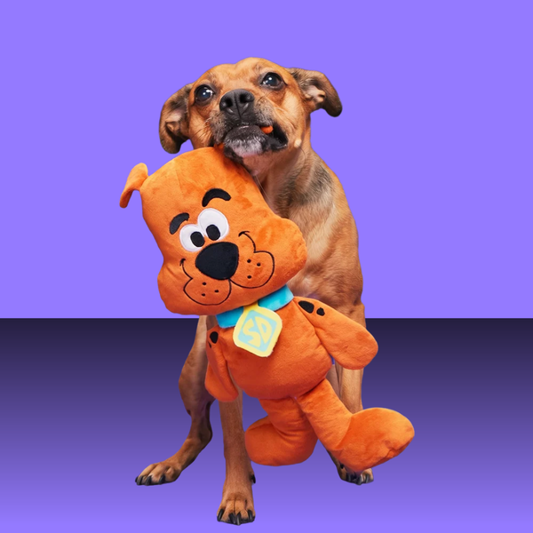 Bark Halloween Scooby Dooby Doo XL