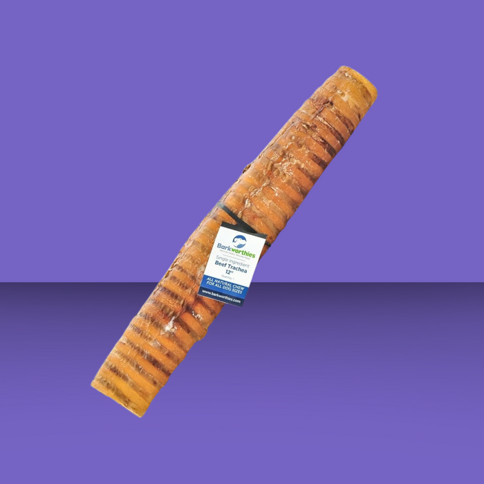 Barkworthies Beef Trachea 12"