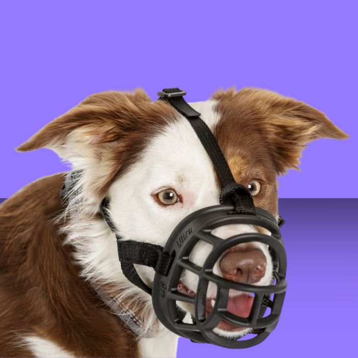 Baskerville Muzzle Size 2