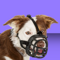 Baskerville Muzzle Size 4