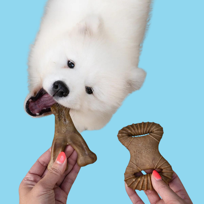Benebone Dental Chew & Wishbone 2 Pack Bacon Tiny S