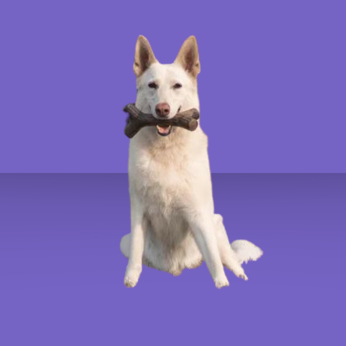 Benebone Maplestick Giant