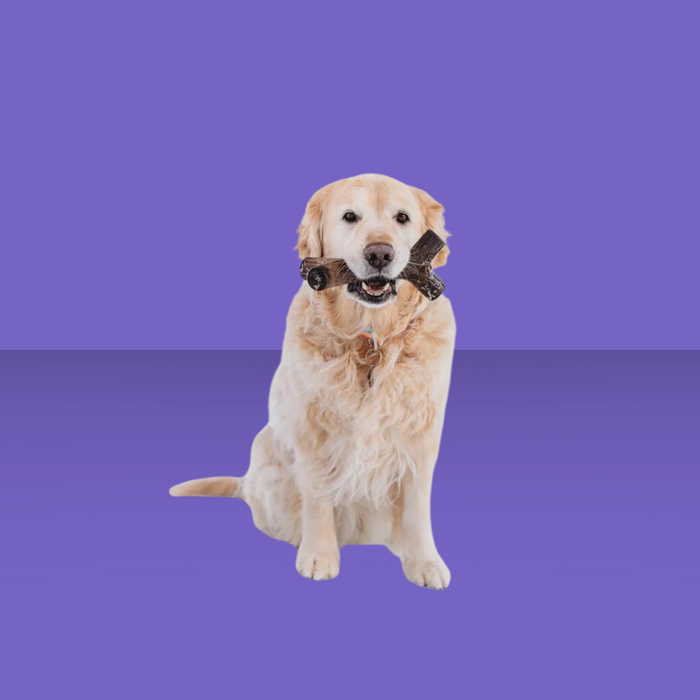 Benebone Maplestick L