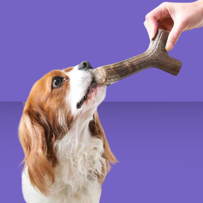 Benebone Maplestick M