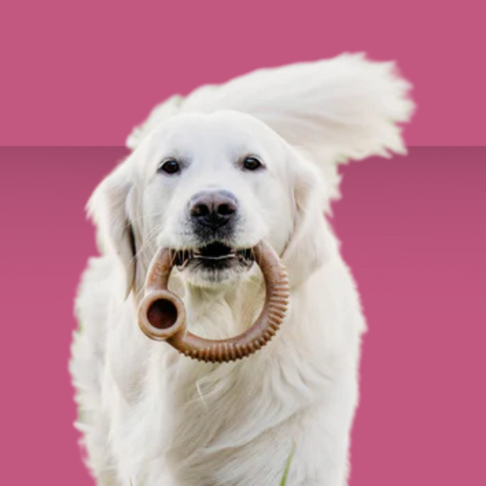 Benebone Ring Bacon L