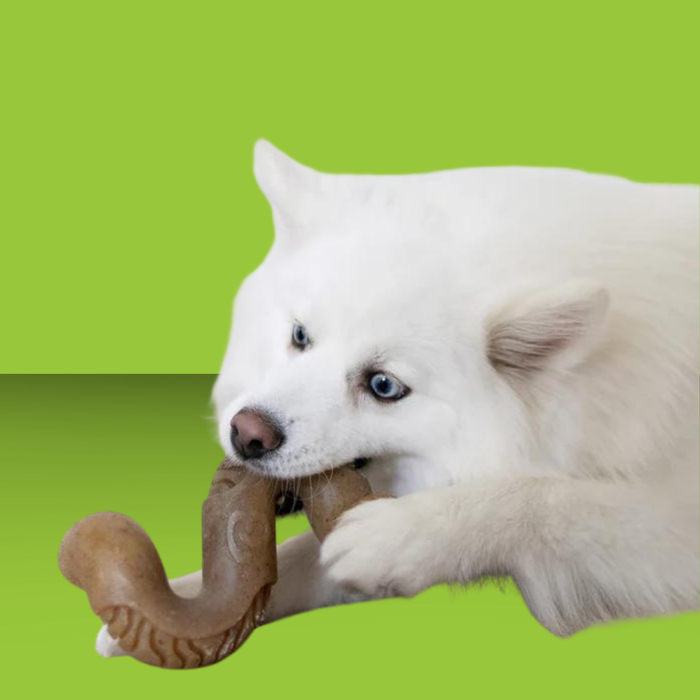 Benebone Tripe M S