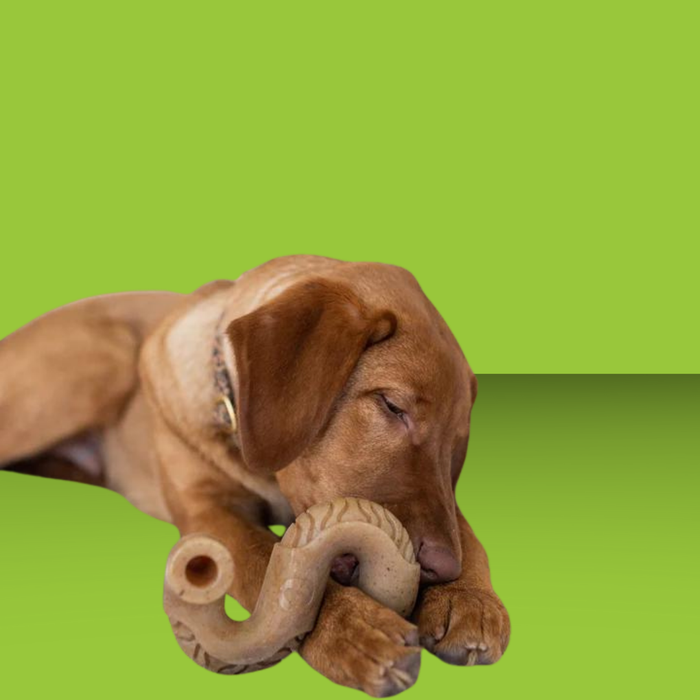 Benebone Tripe S S