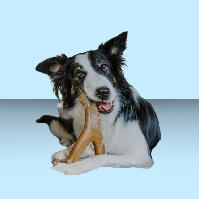Benebone Wish Bone Bacon Giant