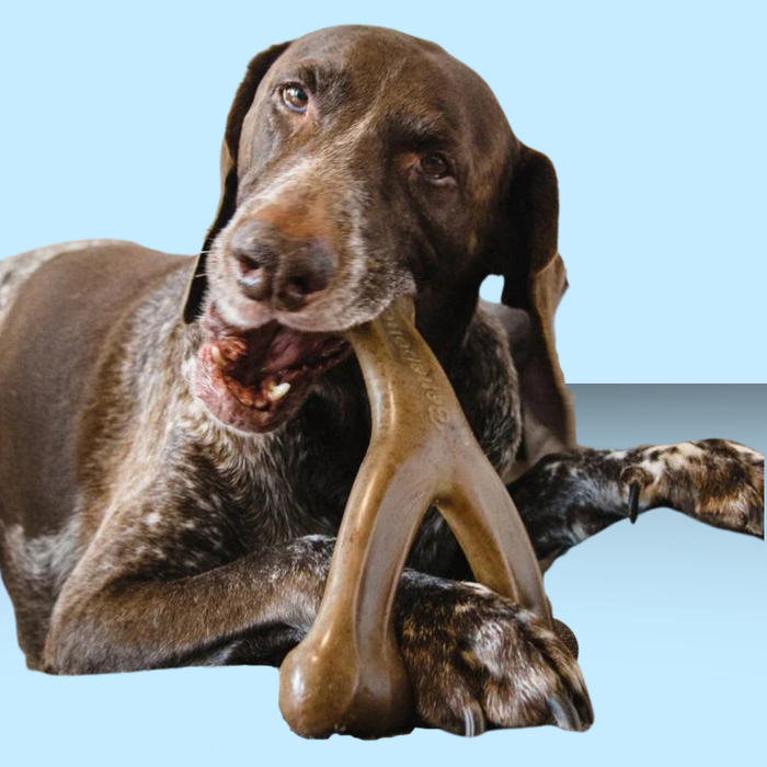 Benebone Wish Bone Bacon Giant